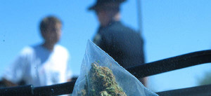 Officer determines impairment of marijuana dui suspect