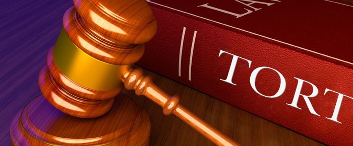 Tort law explained
