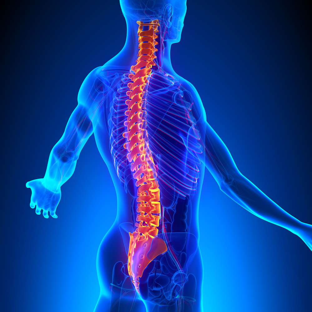Spinal Cord Injury lawyer Longwood, FL
